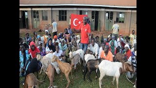 Byango Development and AFT of Turkey donate good breed goats to Jinja locals.