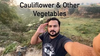 Beautiful Cauliflower & Other Vegetables in My Village | Tahir Waris |