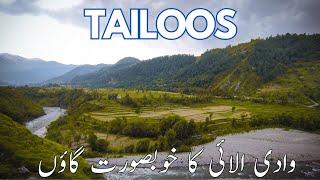 Tailoos Village Allai Valley Batagram | Unexplored Beauty Of Allai Valley | Explore With @ekraahgeer