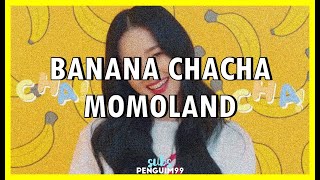 [K-Pop] Momoland (모모랜드) - Banana ChaCha (PT-BR)