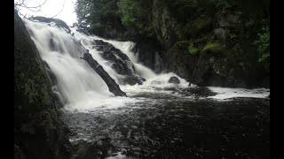 Pen Lake, Algonquin Park. August 6-9,2023