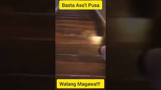 Aso't Pusa Nga Naman II Teacher Ryan Gallardo