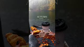 38 Days Until the End of Autumn 🍂👉 timer-clock.com