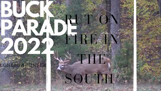 WHITETAIL RUT BOWHUNT (2022)