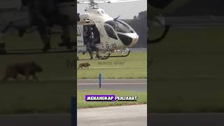 Anjing turun dari helikopter #shortvideo #shorts