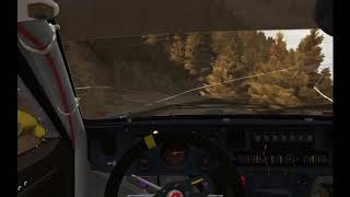 Every Time I Play Dirt Rally