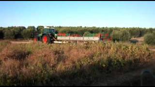 fendt 714