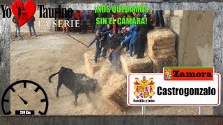 1° CASTROGONZALO  😱¡Qué me coge el toro!🤣 TOROS BRAVOS