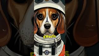 Did you know this about Beagles? | Beagle in Space