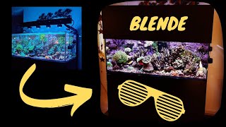 Einfache und günstige Licht-Blende für das Aquarium (Spritzschutz / Springschutz / DIY)