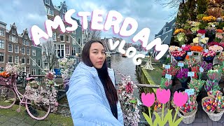 JE PARS À AMSTERDAM SUR UN COUP DE TÊTE ! (Vlog voyage) 🇳🇱