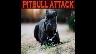 Pitbull attack _ Pitbull attack dog _ pitbull attack 2021