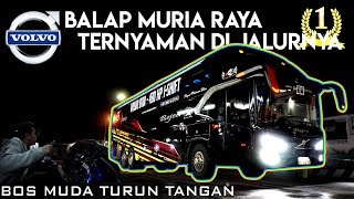 DRIVERNYA BOS MUDA BEJEU || SENSASI BALAP + NYAMAN BEJEU TRONTON VOLVO B 11 R Jepara-Ciawi