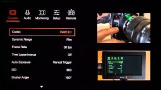 Blackmagic Design Micro Cinema Camera and Video Assist Menu System