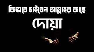 কিভাবে চাইবেন আল্লাহর কাছে। #দোয়া #islamicvideo