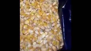 Wholesales High Quality 100 Material Organic Dried Corn Mazie Sweet Bag 1kgFor Cooking From Viet Nam