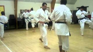 Goju Karate Training II - Mawashi geri block and counter attack