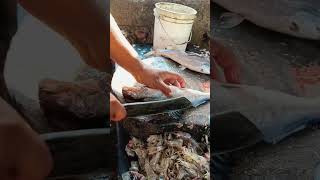 Amazing singara fish cutting in dawadi fish market #shorts #short #fish #youtubeshorts #share