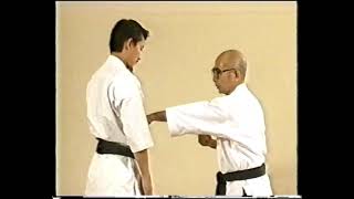 Yomigaeru Dento Karate by Kinjo Hiroshi