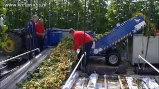 Bio Hopper XL-PTO for Bakker Seed Productions nursery for crop rotation of plants and substrate