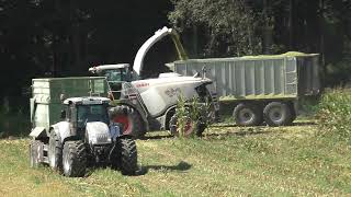 Mais 2023 LU  Hannes Hauptmann  Claas Jaguar 970 & Orbis 750 mit verschiedenen Abfahrern in Bezirk S