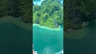 Ever fly a seaplane over Ha Long Bay? - Amazing Travel☀️🌊