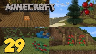 Minecraft Survival EP. 29 - MIGLIORAMENTI NEL MONDO