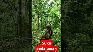 Suku mante penunggu hutan belantara