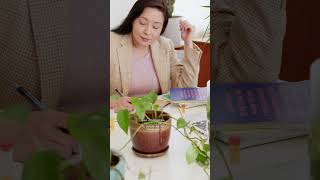 Plantas para Mejorar tu Productividad 🌿 PARTE 1 | Aumenta tu Enfoque con Plantas