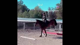 Can I Jump my Horse in Cavallo Hoof Boots?