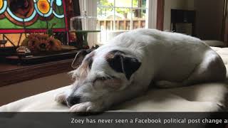 Be Like Zoey, please