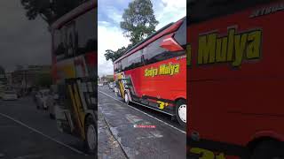 Sedya Mulya “ Mas Bogie” #basuri #trending #busmania