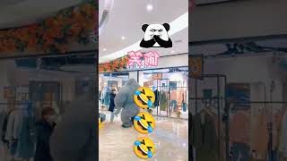 #funnyvideos #funny #funnyanimals #comedyvideo #comdy #lucu #fy #fypシ #foryou #xuhuo