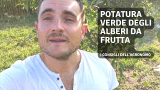 POTATURA VERDE - ESTIVA DEGLI ALBERI DA FRUTTA CON MINI-MOTOSEGA VIOLEWORKS