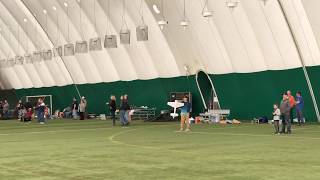 New Year's Day RC Fun Fly 2019 @ Wyoming Valley Sports Dome