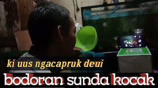 bodor sunda/ki uus ngacapruk deui