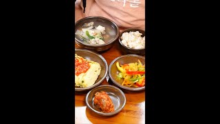 힐링 요리 계란 말이, 굴 뭇국 [2024.12.05]