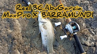 Reel BC Abu Garcia Maxpro X BARRAMUNDI #ultralightfishing #abugarciareels #barramundi