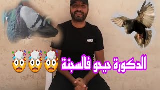 توليعة خفيفة ظريفة ليوم السبت 🕊🕊😀 تحياتي ليكم خوتي العزاز🙏