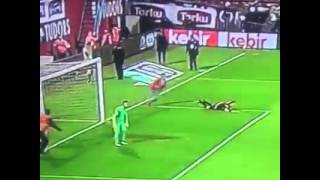 Trabzonspor - Fenerbahçe  24/04/2016 {Linesman attacked}