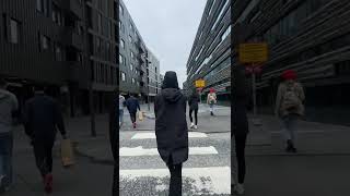 Reykjavík Iceland 🇮🇸 Strolling 2024 #shortvideo