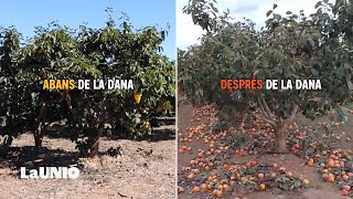 El mateix camp abans de la DANA i després de la DANA