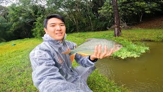 PESCARIA ULTRA LIGHT DEBAIXO DE CHUVA🌨️🎣