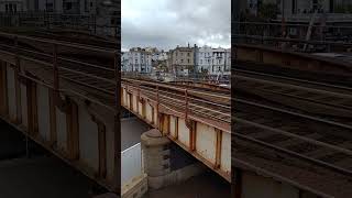 Trainspotting around dawlish 27/ 7 /23