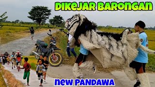 DIKEJAR BARONGAN NEW PANDAWA