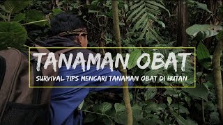 ( SURVIVAL TIPS  ) Tanaman obat yang bisa di temui di hutan tropis