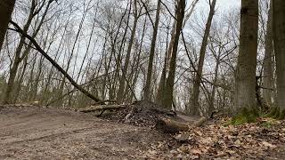 MTB Berlin - Berm with step down jump #Shorts