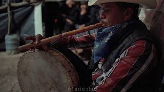 FIESTA TRADICIONAL, SON DE FLAUTA Y TAMBOR (Etnia Mayo)