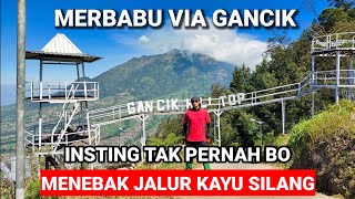 MERBABU VIA GANCIK || INSTING TAK PERNAH BOHONG || MENEBAK JALUR KAYU SILANG @lonewolfindonesia