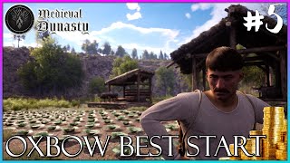 Medieval Dynasty [PC 4k60] - Oxbow Map NEW START GUIDE - Do This & Make BIG MONEY EARLY